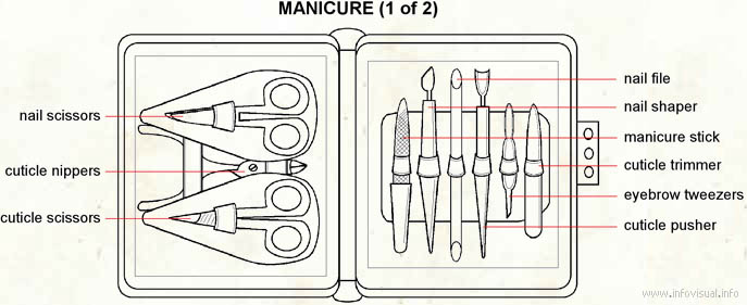 Manicure  (Visual Dictionary)
